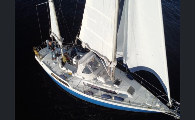 Gib-sea 35 ss ketsi-kuva-16